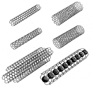 Nanotubes de carbones